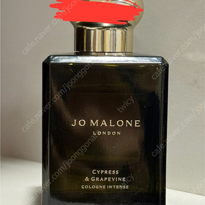 조말론 사이프러스 앤 그레이프바인 50ml 향수