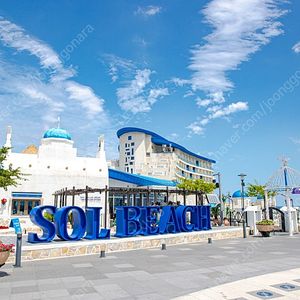 (7월 30일 2박 / 8월 1일 2박) 삼척 양양 쏠비치 / 속초 롯데리조트 / 거제 벨버디어 / 덕산리솜