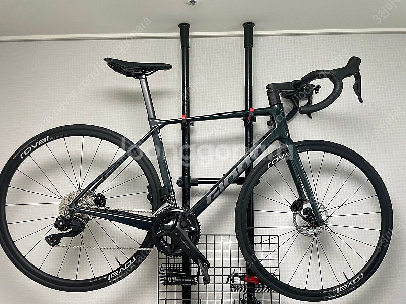 2025 자이언트 TCR 어드밴스1 KOM 디스크--0