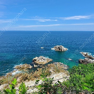 8월3일 삼척쏠비치 스위트 파셜오션뷰(클린)