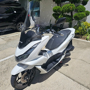 부산 올뉴 PCX 125 화이트 21년식 판매합니다! (정비내역 다수,카울a급)