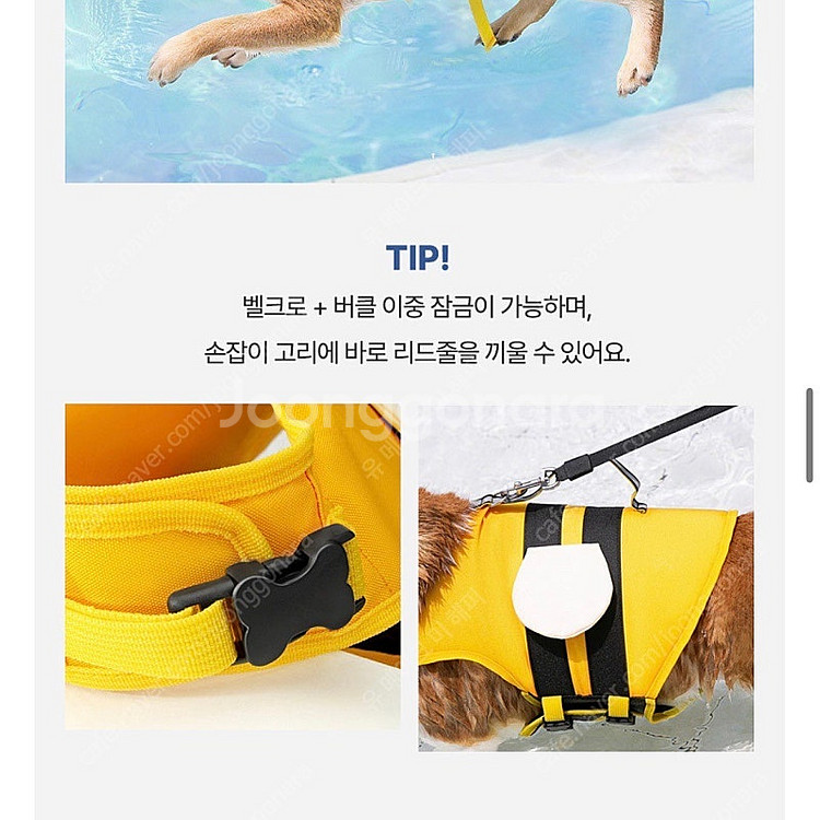 텍달린 새상품) 턱받이 포함 강아지 반려동물 물놀이 수...--5
