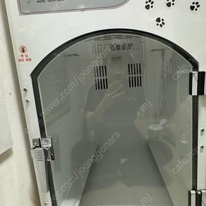 뽀송이코코 다운이엔지 강아지드라이룸