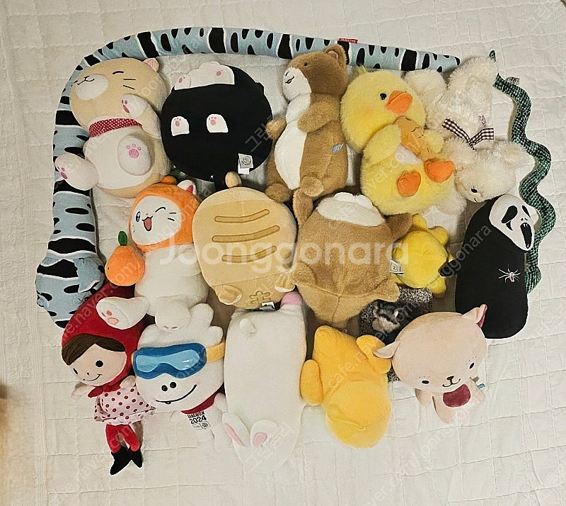 봉제인형--0