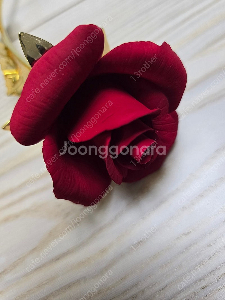 도자기 장미(capodimonte porcelain f...--2