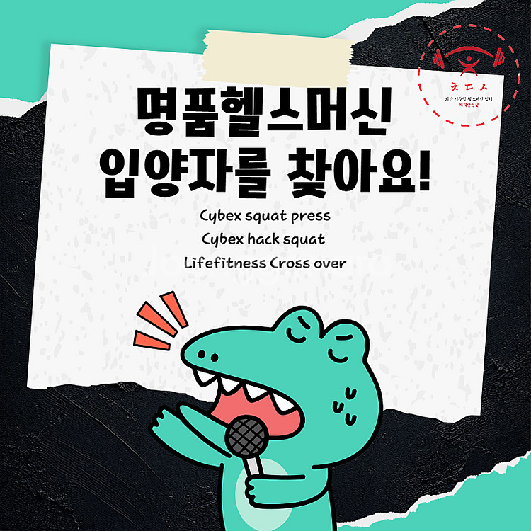 [리퍼] 싸이벡스 스쿼트프레스, 핵스쿼트, 각종 명품 ...--6