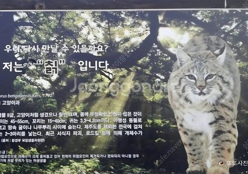 갤럭시s25엣지 512로 아이폰16프로 교환해요--3
