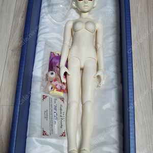 구체관절인형으로 휴대폰, 닌텐도 스위치, 태블릿 교환원합니다