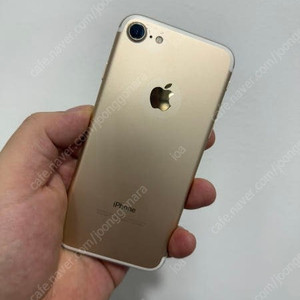 아이폰7 128GB 골드