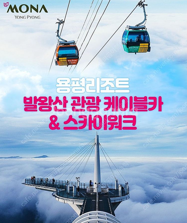 용평리조트~하반조식뷔페권/샬레조식뷔페권~케이블카왕복권~...--0