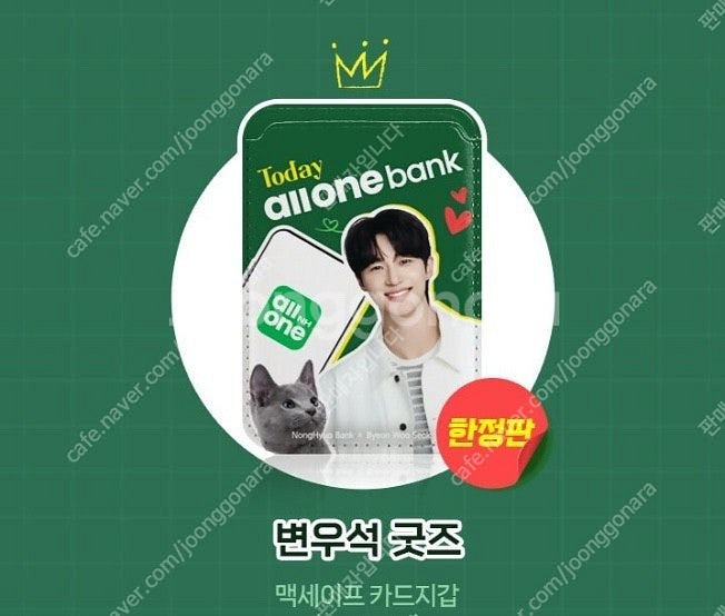 (미개봉) 한정판 변우석 굿즈 (변우석 맥세이프 카드지...--0