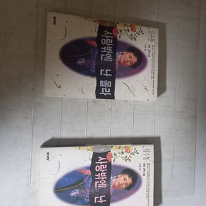 심수봉 장편소설 사랑밖엔 난 몰라 상,하 전2권 (배송비 별도)