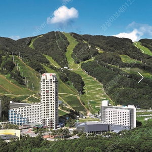 평창 휘닉스파크 조식권 구합니다