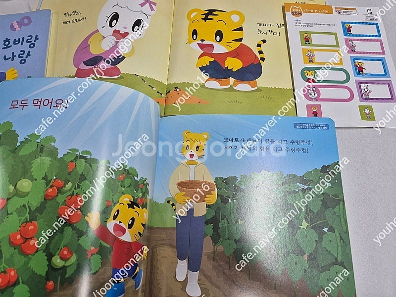 호비 스탭 3~4 호비랑나랑 교재 그림책 dvd 교구--1
