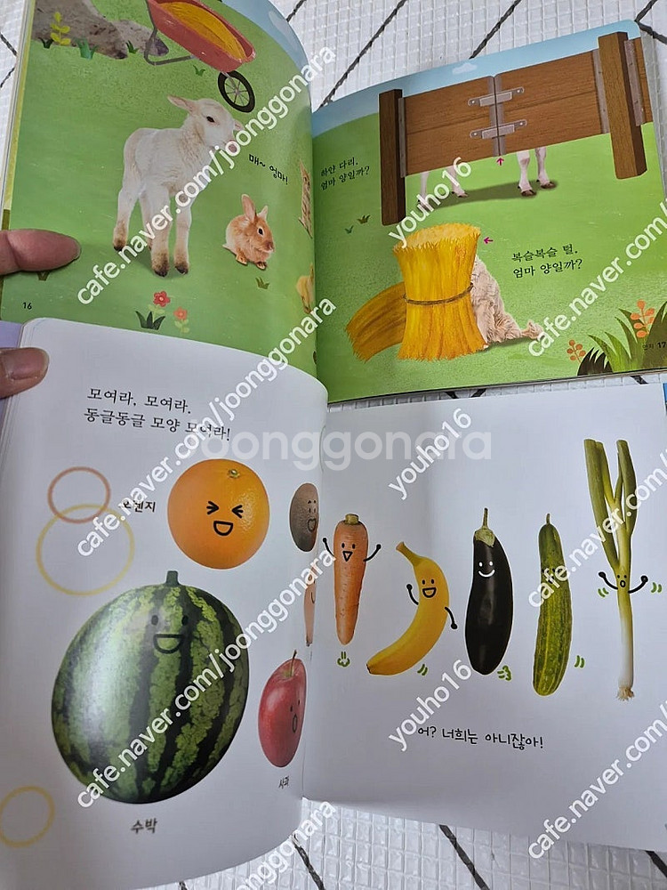 호비 스탭 3~4 호비랑나랑 교재 그림책 dvd 교구--5