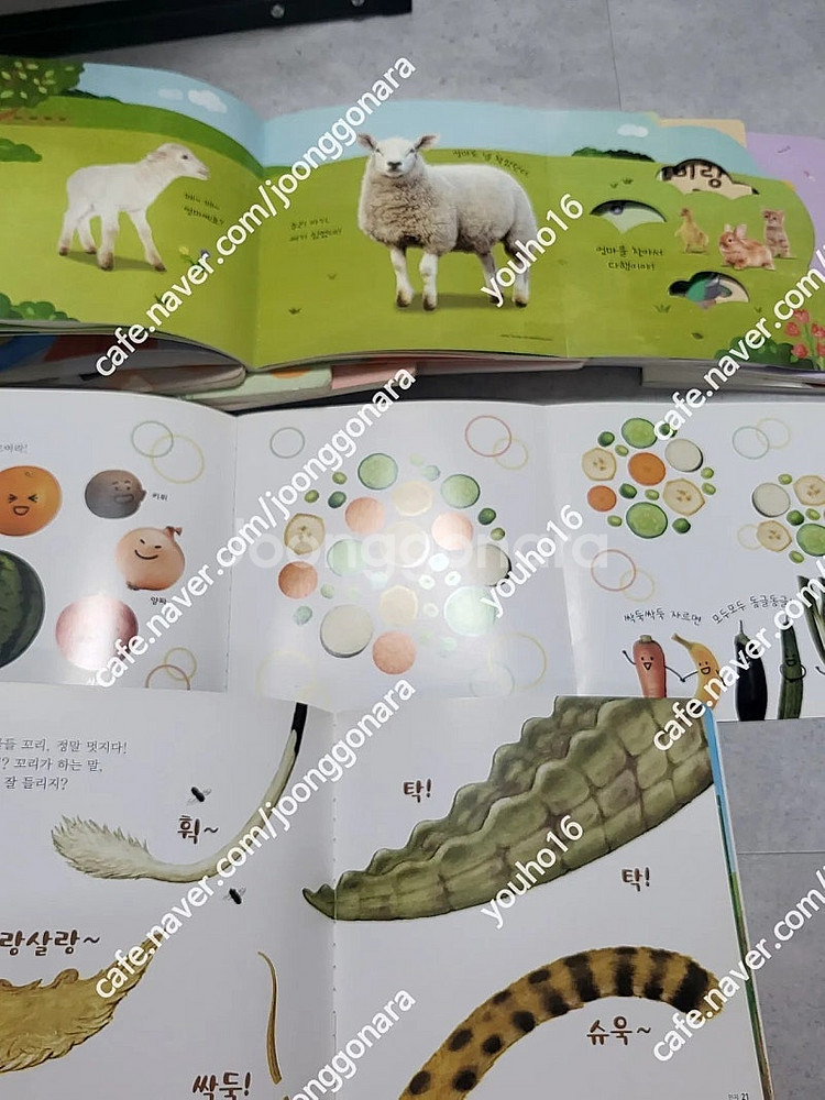 호비 스탭 3~4 호비랑나랑 교재 그림책 dvd 교구--8
