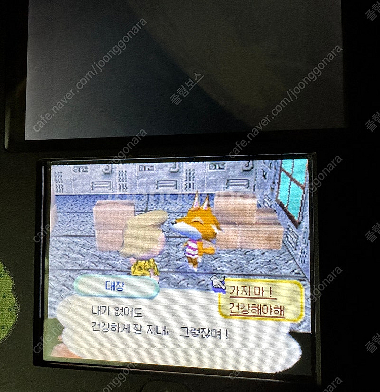 놀러와요 동물의 숲 칩+곽+설명서 판매--4
