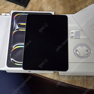 아이패드 프로 M4 11인치 1테라 셀룰러 실버 팝니다