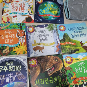 불빛을 비추며 읽는 그림자책