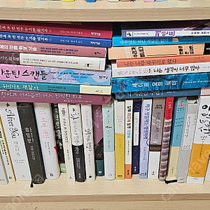 추리소설등 베스트셀러들