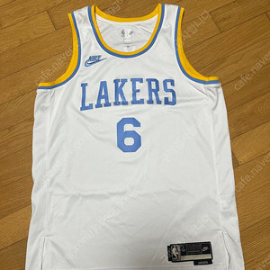 나이키 NBA LA레이커스 르브론 제임스 스윙맨 저지