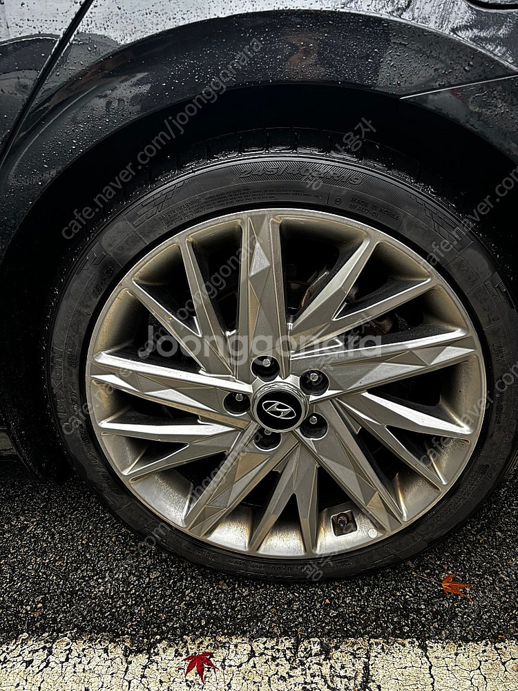 더뉴그랜저19인치 휠 인치다운--4