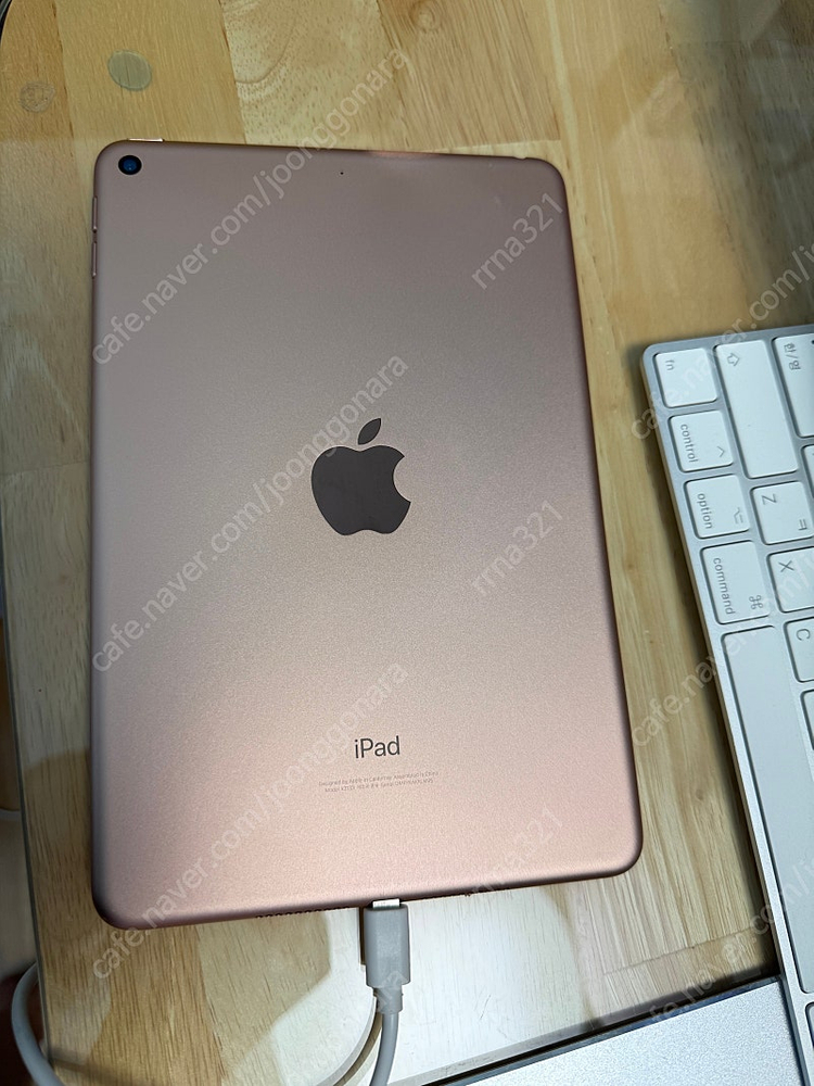 아이패드 미니5 이미지
