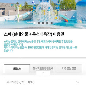 아산 도고파라다이스 피크시즌 종일권 (모바일티켓)