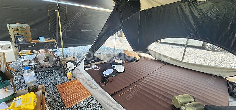 노르딕스 이클립스 돔 280 팝니다--3