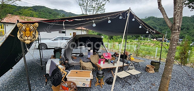 노르딕스 이클립스 돔 280 팝니다--6