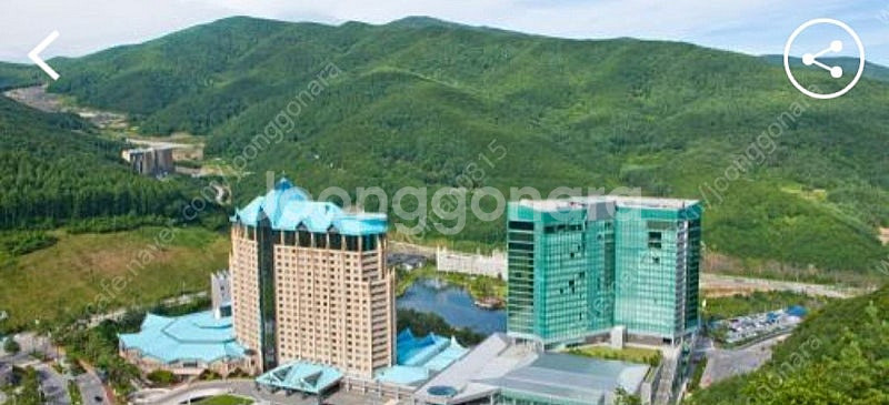 하이원 리조트 하계 성수기 확보 객실--0