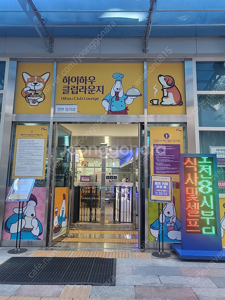 하이원 리조트 하계 성수기 확보 객실--1
