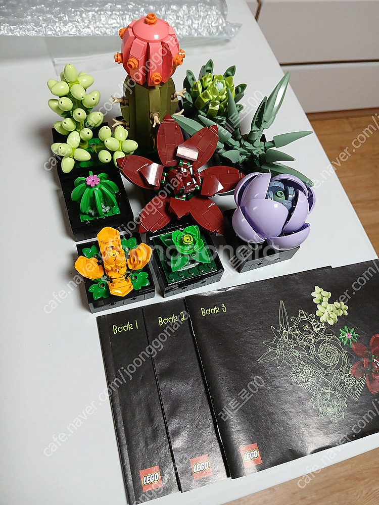 레고 보태니컬 10309,10329 다육식물, 미니어처 팝니다.--0