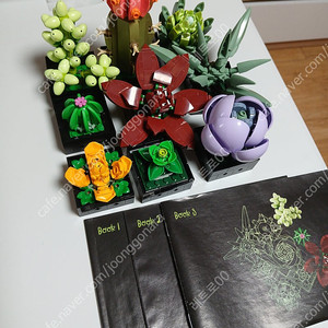 레고 보태니컬 10309,10329 다육식물, 미니어처 팝니다.