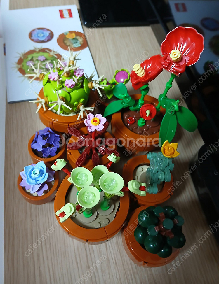 레고 보태니컬 10309,10329 다육식물, 미니어처 팝니다.--1
