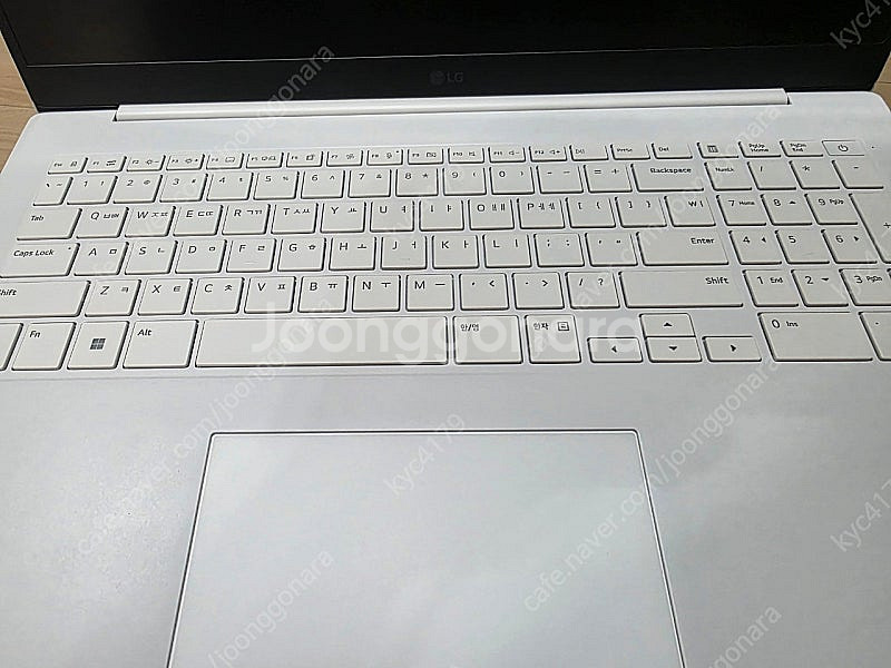 2024 LG 그램 PRO 17 코어 울트라5--2