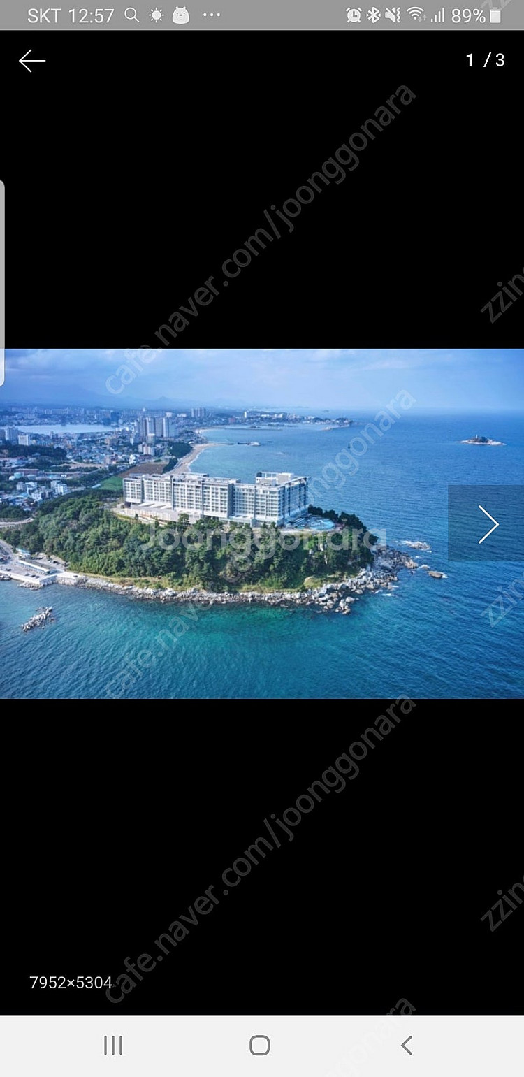 속초 롯데리조트/대명소노벨(8월1일(금)2박) 속초 여...--0