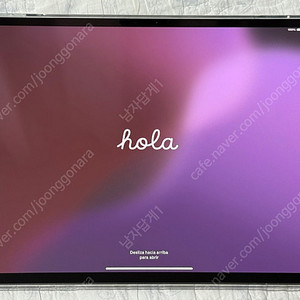 아이패드프로 M4 13 256 스페이스 블랙 wifi 팝니다.
