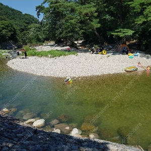 포항 별삼킨별 캠핑사이트 오늘 1박2일 양도