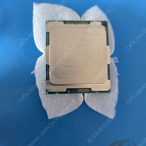 인텔 cpu xeon w-2155