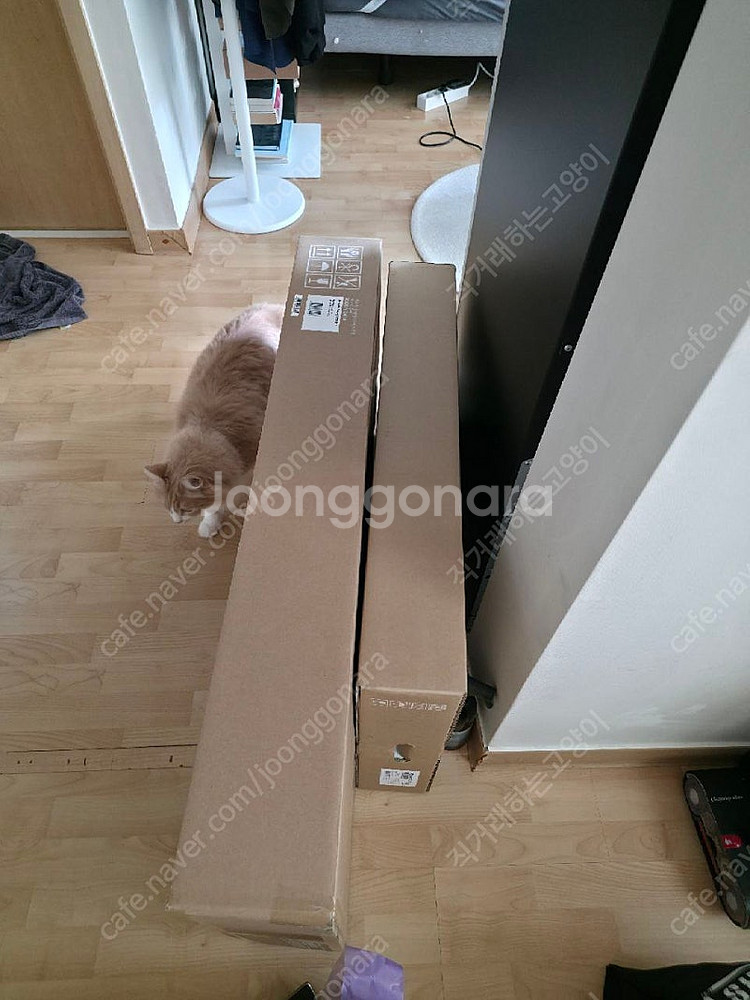 스마트 모니터 m5 32인치 화이트+ 삼텐바이미 세트 ...--0