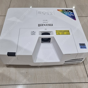 막셀 프로젝트5000안시 5대