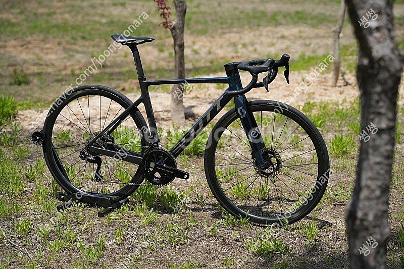 스캇 에딕트RC 프로 (Addict RC Pro) 로드...--0
