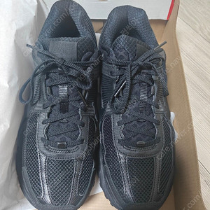 줌 보메로5 블랙 270