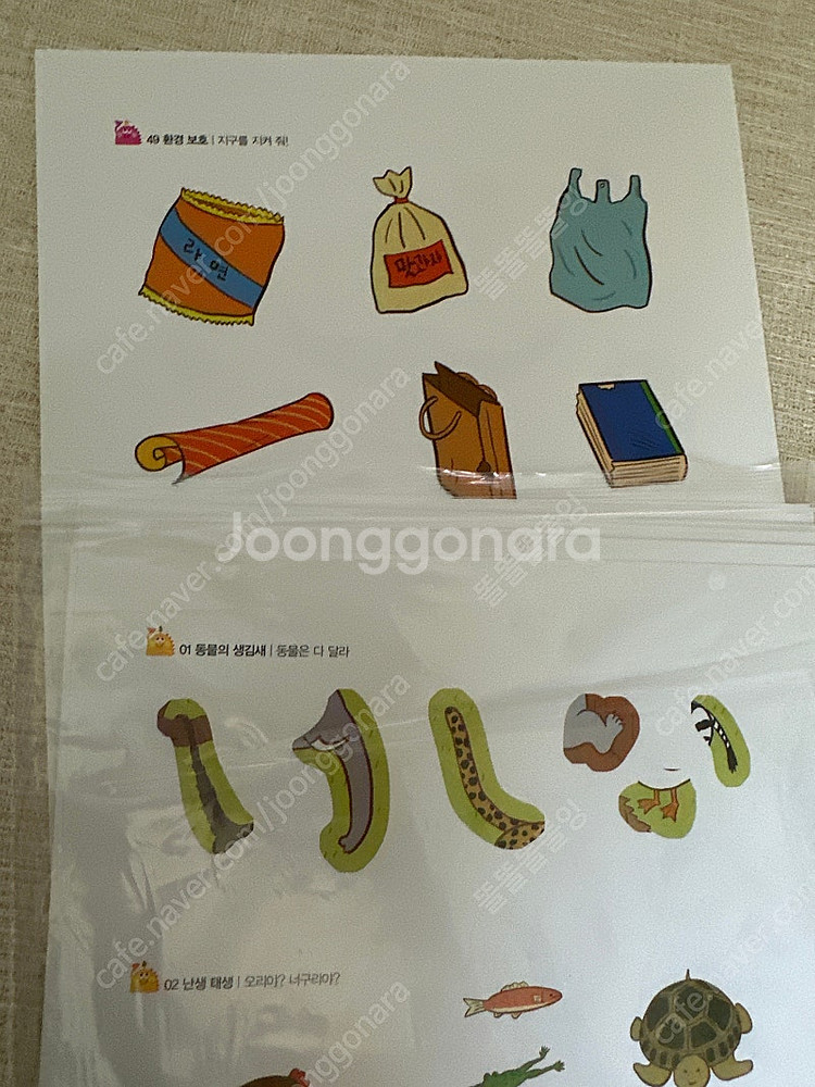내친구과학공룡--2