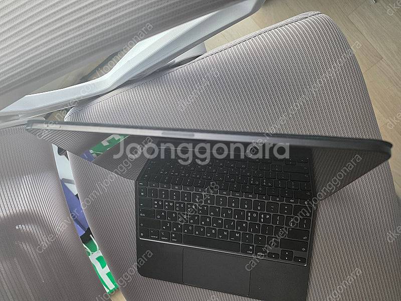 아이패드 프로 m4 13인치 256기가 스블 와이파이 ...--0