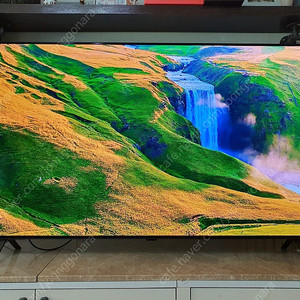LG OLED 올레드 55인치 TV 팝니다 [2025년 5월 구매] OLED55B4KNA
