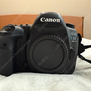 캐논 EOS 5D Mark IV와 24-70신계륵렌즈