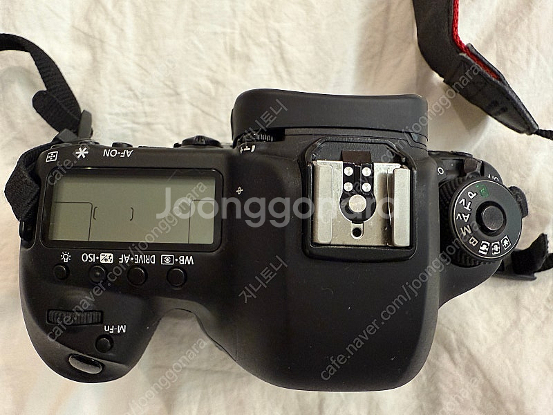 캐논 EOS 5D Mark IV와 24-70신계륵렌즈--1