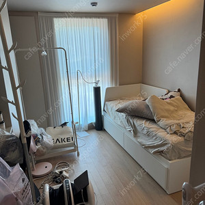 플레케
